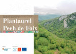 M11 Plantaurel Pech Foix {PNG}