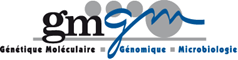 Logo Gmgm